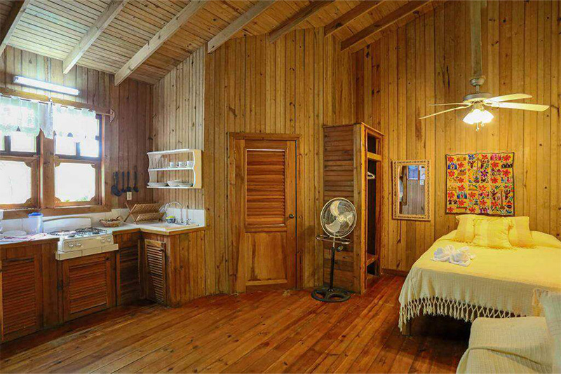 Studio with Kitchen Garden View (4)